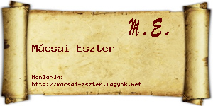 Mácsai Eszter névjegykártya
